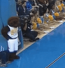 Let's Learn About: the UCLA Bruins